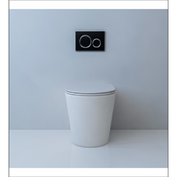 B 2303 B  In- Wall  Cistern  Rimless  Toilet