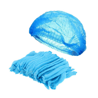 Australian Made Crimped Beret 21&quot; Blue - 1000 Hairnets (1 Box)