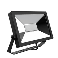 GEN2 Slimline Series LED Flood Light 30W IP65 | Emerald Planet