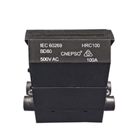 Back Wired Service Fuse Including 100A Cartridge | CNEPSO