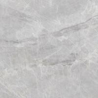 Arpoador Ice Grey Polish 600x1200x6mm