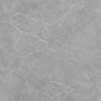 Roman  Pisa  Gray  Polish 900x 1800x 6mm