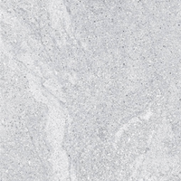 Galaxy  Rock  Light  Gray  Grnular 600x 1200x 6mm