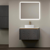 Omega  Wall hung vanity with induction light-single bowl