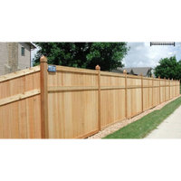 Treated Pine Fence Palings 100 x 12mm